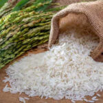 Rice1