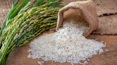 Rice1
