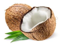 cocunut.png
